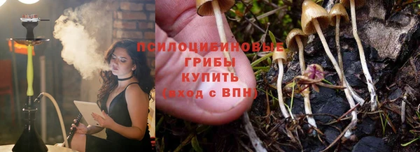 каннабис Алзамай