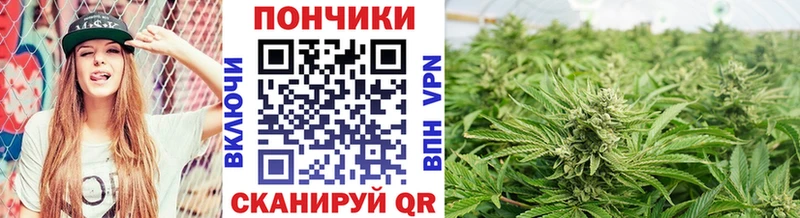 МАРИХУАНА тримм  Бежецк 